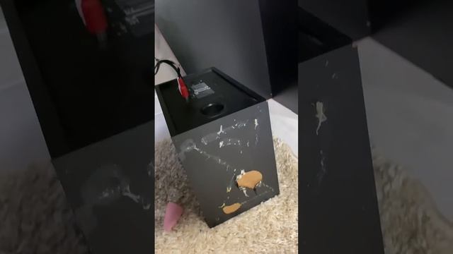 Что то пошло не так с моим Геймерским местом ! смотреть онлайн