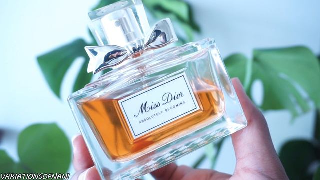 THE BEST LONG LASTING DESIGNER FRAGRANCES FOR WOMEN | MY HUGE CHRISTIAN DIOR PERFUME COLLECTION 202 смотреть онлайн