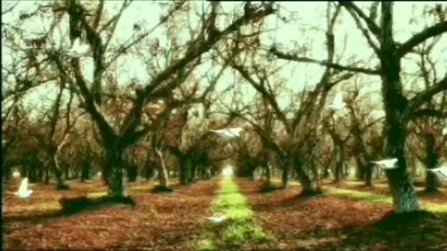 Композиция "Сад" на стихи И.Бродского смотреть онлайн