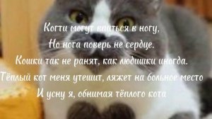 Flëur - тёплые коты (Lyrics + speed up)