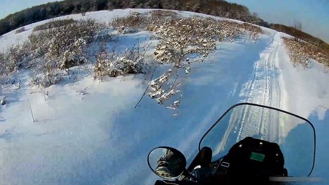 Динго в лесу и глубоком снегу смотреть онлайн