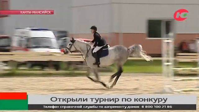 В Ханты-Мансийске можно полюбоваться на «порхающих» скакунов смотреть онлайн
