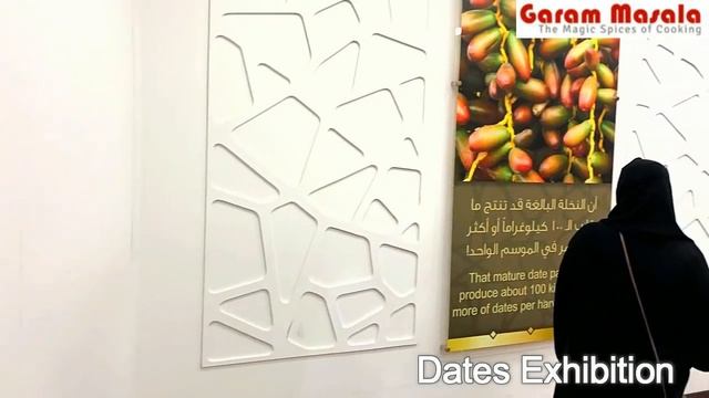 Sheikh Zayed Heritage Festival Al Wathba Abu-Dhabi смотреть онлайн