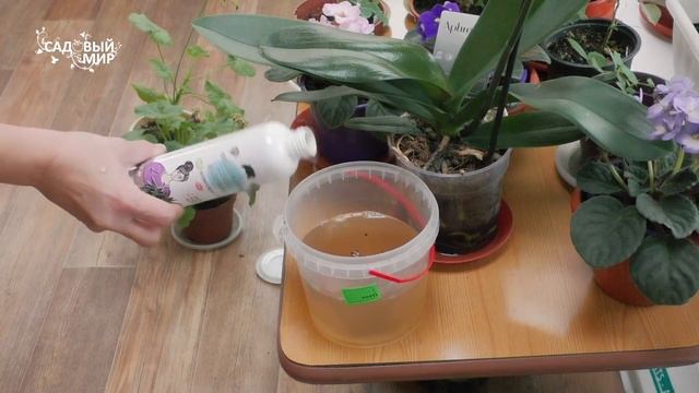 Как помочь растениям зимой смотреть онлайн