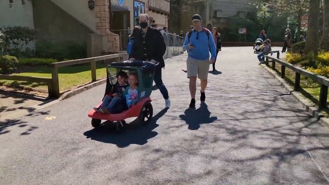 Safari in London 2021?One fun day for kids with animals! Part 1!🌞🙈🙉🙊 смотреть онлайн