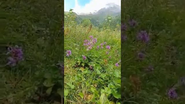 А надо только чуточку любви# стихи смотреть онлайн