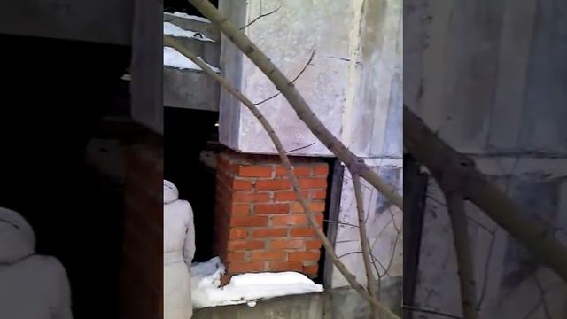 поход в госпиталь часть 1 смотреть онлайн
