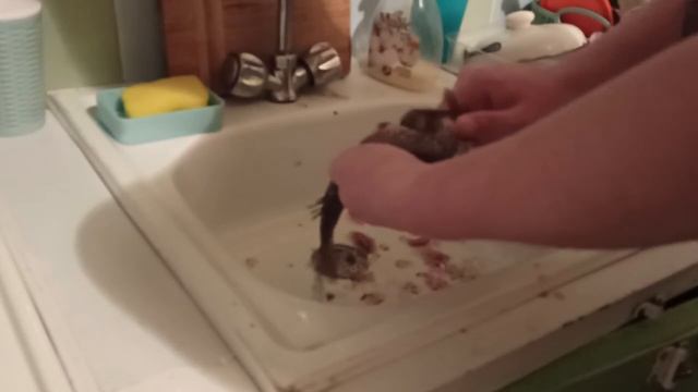 ЗА 20 СЕКУНД - ЧИСТИМ РЫБУ КИПЯТКОМ, БЕЗ ПРОБЛЕМ И ВСЁ ЧИСТО!!!!ЧИСТИМ РЫБУ смотреть онлайн