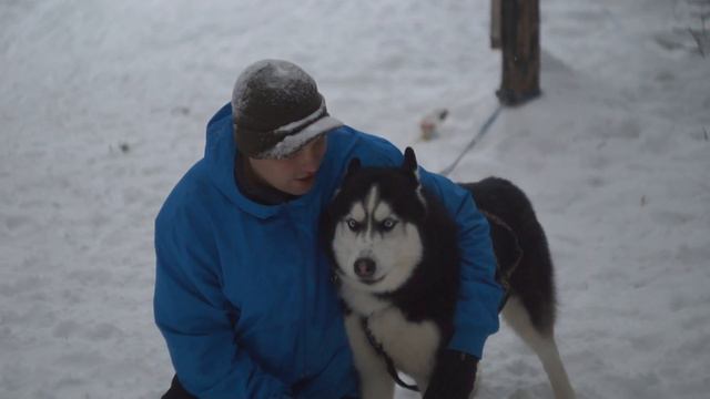 ХАСКИ ПОЁТ. ХАСКИ. смотреть онлайн