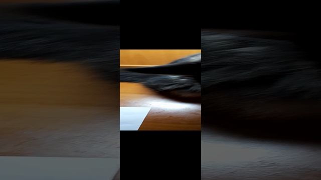 Вы только посмотрите что получается, класс. смотреть онлайн