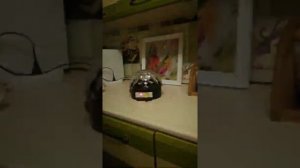 Обзор на диско шар