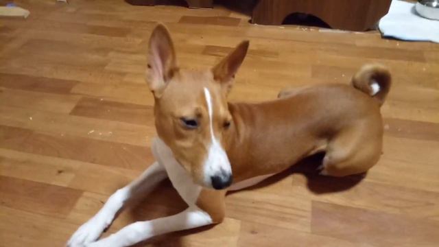 Доброй ночи. 1.07.2020 смотреть онлайн