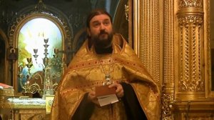 АПОСТОЛ И ЕВАНГЕЛИСТ ЛУКА. Прот.Андрей Ткачёв (30.10.2015г.)