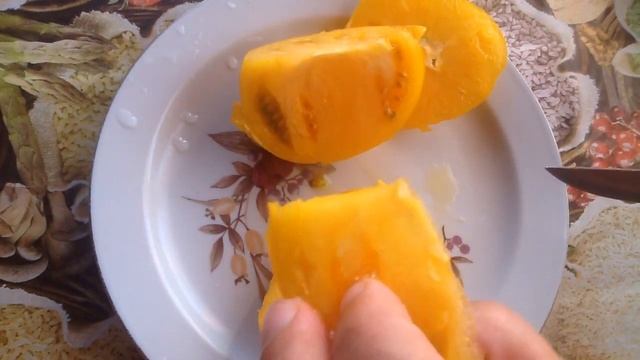 Дегустация томата "Жёлтая гора" смотреть онлайн