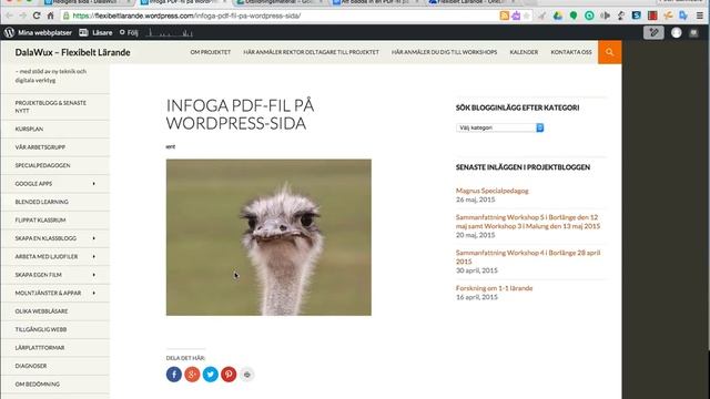 Bädda in PDF-dokument på en WordPress-sida смотреть онлайн