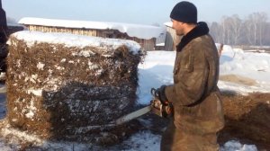 Нехитрый способ легко и быстро раскрыть рулон сена.