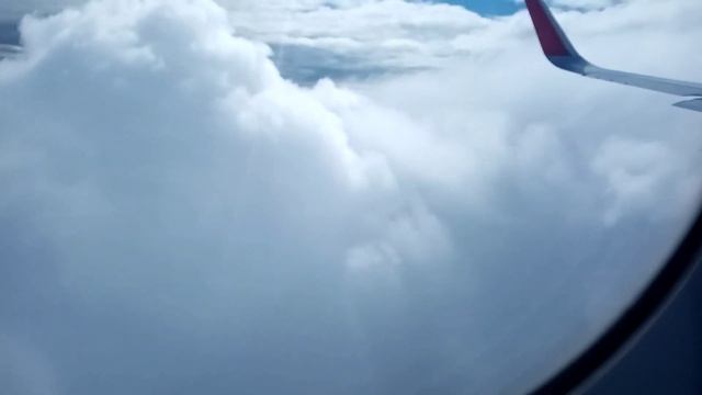 147?Омск-Москва-Франкфурт смотреть онлайн