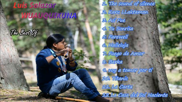 ***Luis Wuauquikuna***NATIVE FLUTE MUSIC***Greatest Hits Full Album смотреть онлайн