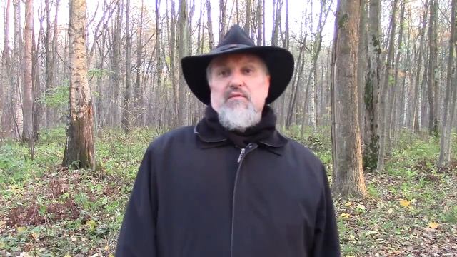 2018.10.24 Вечерняя молитва в Санкт-Петербурге, в парке Удельное. Архиепископ Сергей Журавлев שלום смотреть онлайн