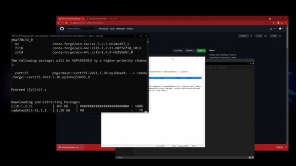 Robust Video Matting (RVM) Windows Installation Tutorial