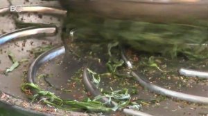 Бизнес на селе. Иван-чай, выручай: как заработать на диких травах? #39