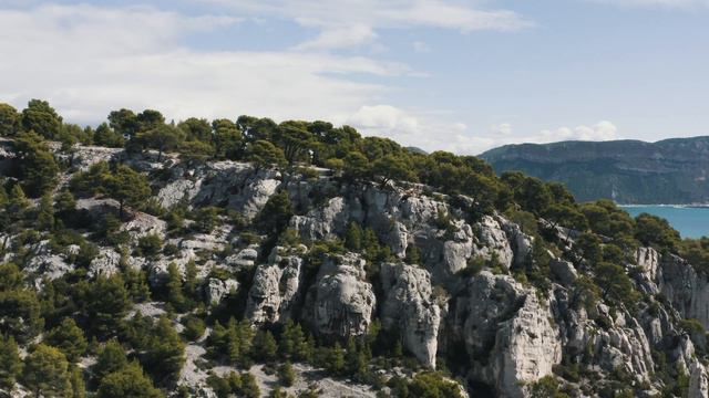 France - Teaser смотреть онлайн