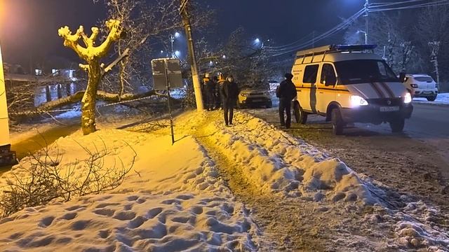 14 декабря 2021 г.щекино ,упало дерево около пфр. ул советская. смотреть онлайн