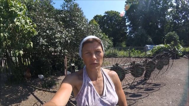 Тяжелая сенокосная пора. Обзор граблей. Сенокос 2020. смотреть онлайн