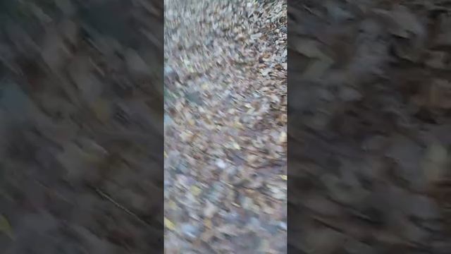 Поход 33 водопада смотреть онлайн
