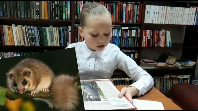 Проект по окружающему миру на тему "Красная книга". 2 класс. Сынково смотреть онлайн