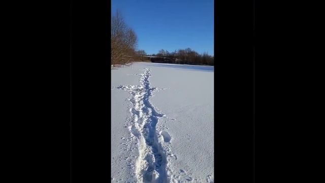 Здесь рыбы нет. Усманка. Январь 2022г смотреть онлайн