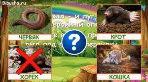 ЗАГАДКИ ПРО ЖИВОТНЫХ - Часть 4 | Загадки для детей