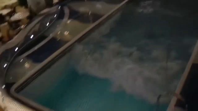 Sos!!! They could drown but.....?!Они могли погибнуть, но.... !!!! смотреть онлайн