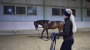 Часть 1. Работа с лошадью на корде и двойной корде (doppellonge), длинные вожжи.