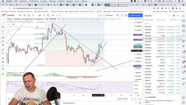 ЕЩЕ МЕДВЕДЬ НО.... 2Х ALICE | ПРОГНОЗ XRP BTC DOT ATOM | МОНЕТА НА ХХХ В 2021 смотреть онлайн