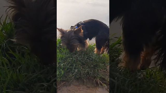 Буду я любить тебя всегда, Моника моя💗