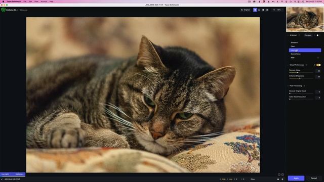 TOPAZ DENOISE AI (New UpDate V3.7.0) With DOWNLOADS of My Comparison Tests of all 6 AI Models... смотреть онлайн