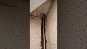 Капитальный ремонт. Замена стояков отопления в квартирах