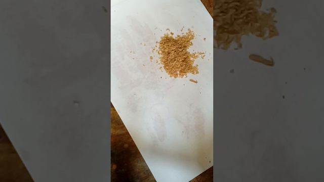 МЫЛО ОТ ПРЫЩИКОВ СВОИМИ РУКАМИ. смотреть онлайн