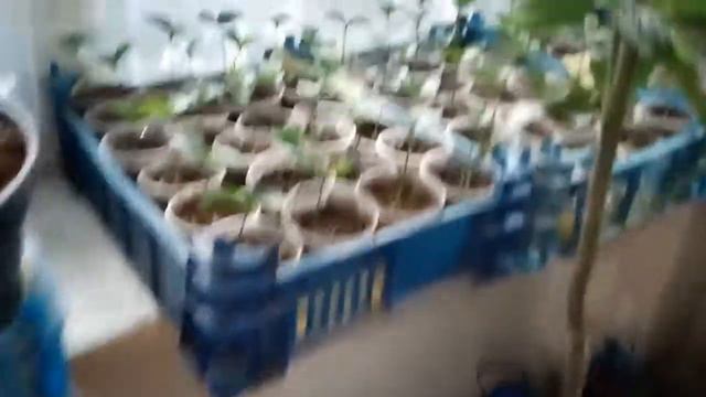VID 20210204 Работа кипит.... смотреть онлайн