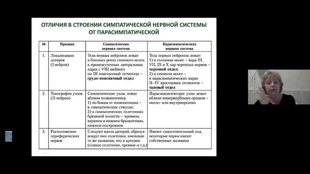 5. Вегетативная нервная система смотреть онлайн