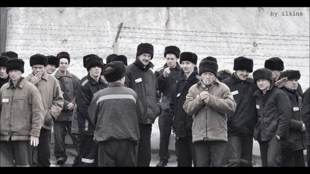 Как нужно себя вести во время задержания и ареста смотреть онлайн