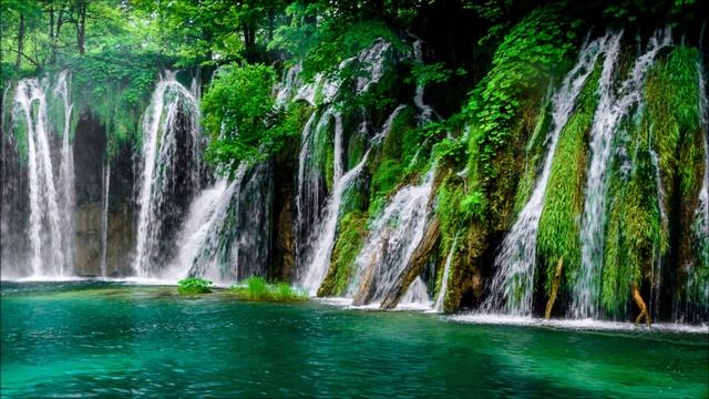Guided Meditation to Relieve Stress, Anxiety & Overwhelm - Beginner Friendly Meditation - 12 Minute смотреть онлайн