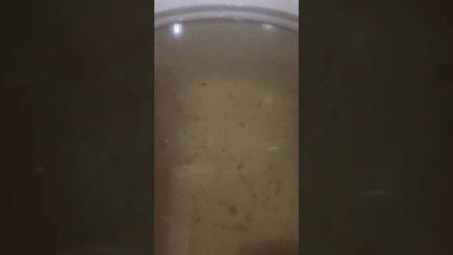 Компот из целых персиков ? смотреть онлайн