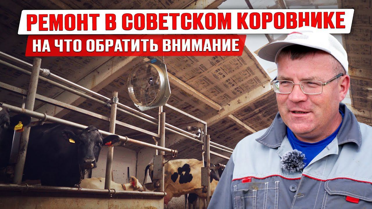 Переоборудование старого советского коровника | Обустройство коровника | Содержание КРС смотреть онлайн