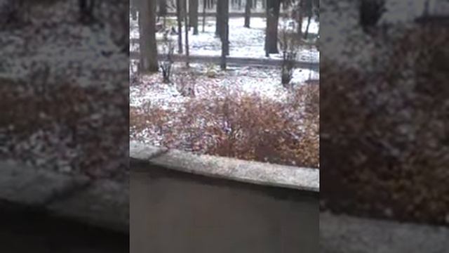 Артек.ua смотреть онлайн
