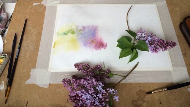 Рисунок сирени акварелью смотреть онлайн