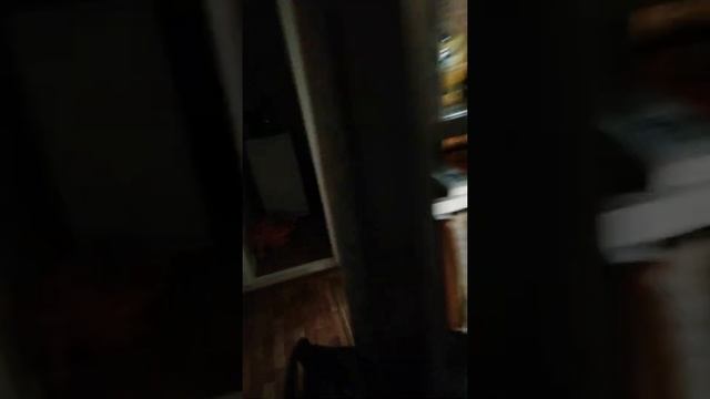 ДЕНЕЖНОЕ ДЕРЕВО. Крассула, толстянка, обезьянье дерево, дерево любви и дерево счастья. смотреть онлайн