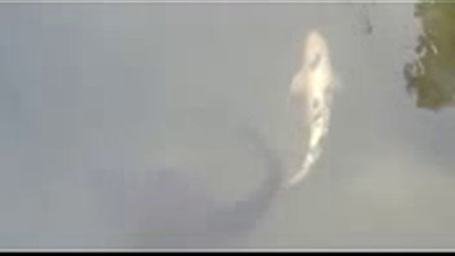 Смотреть Ловля Рыбы Руками В Болоте - Ловля Рыбы Руками Видео смотреть онлайн