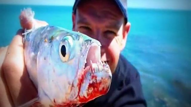 Рыбалка в море с воблером смотреть онлайн